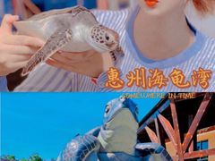 -广东惠东海龟国家级自然保护区
