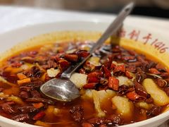 水煮鱼-便宜坊烤鸭店(甜水园店)
