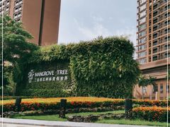 -三亚湾红树林度假世界(木棉酒店)