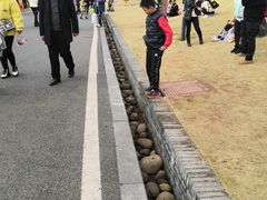 -枫香湖儿童公园