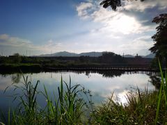 -坪山湿地公园