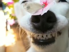 -梧桐餐厅(泉城路店)