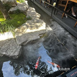 藏在园林里的平阊面馆