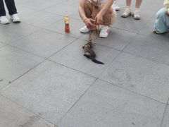 -大悦城(沈阳中街店)
