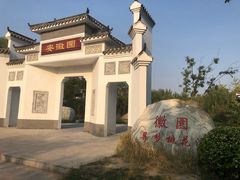 -武清南湖绿博园