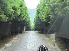 -秦始皇帝陵博物院-丽山园