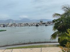 -希尔顿南海酒店·观廊大堂吧·海景下午茶