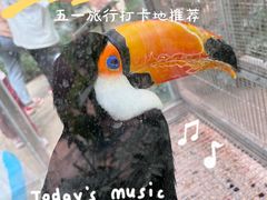 -南宫五洲植物乐园