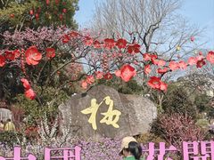-无锡梅园公园