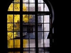 -四川大学(华西校区)