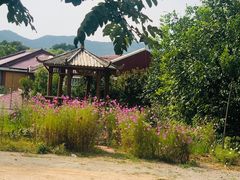 -57号彩豆园(柳沟豆腐宴店)