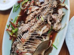 -崂山水果园农家宴(泉水鸡店)