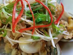 -优护优家Ucare月嫂育儿嫂陪伴师(静安店)