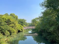 -西溪国家湿地公园