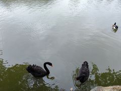 -珠海圆明新园