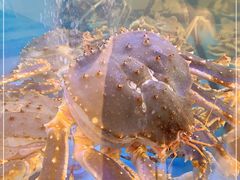 -快乐海鲜城(虎泉街店)