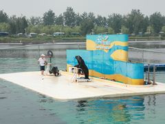 -秦皇岛乐岛海洋王国