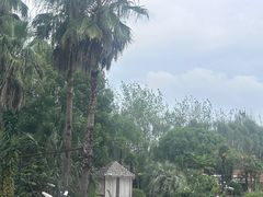 -上海东方佘山翰悦阁酒店·Vie全日制餐厅