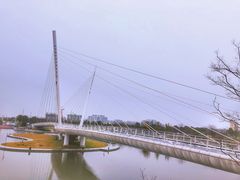 -映月湖中央公园