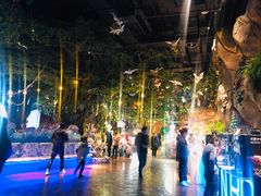 -杭州开元森泊度假乐园