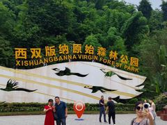 -西双版纳原始森林公园