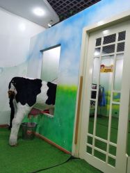 -新方向童乐小镇·儿童主题乐园·职业角色扮演(南昌店)