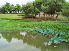 -福建鲤鱼洲酒店