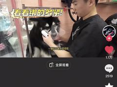 -FAELING PETS美天灵宠物(合生汇店)