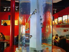 -秤砣砣·湖南粉面馆(青年路店)