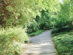-上海吴淞炮台湾国家湿地公园