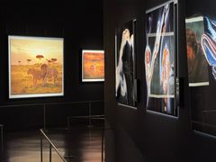 -罗红摄影艺术馆