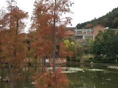 -神光山国家森林公园