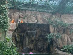 -祥源·阜阳生态乐园