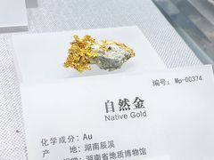 -湖南省地质博物馆