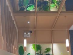 -好彩猪肚鸡(正弘城店)