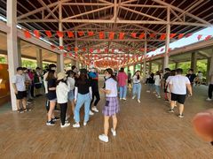 -辛玛王国游乐园