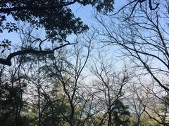 -佘山世茂艾美·御珍轩中餐厅