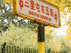 -三里屯东五街银杏大道