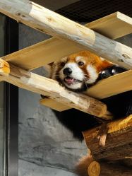 -Zoolung Zoolung动物主题公园(海信广场店)