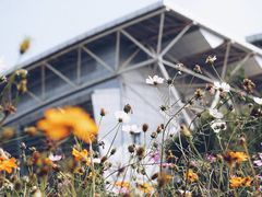 -南京中医药大学(仙林校区)