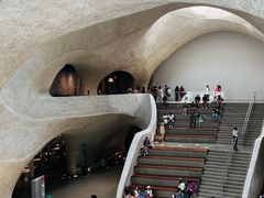 -美国自然历史博物馆