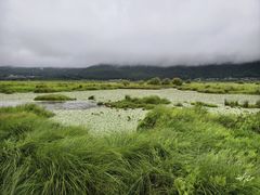 -腾冲北海湿地