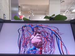 -Sony Store 索尼(上海淮海中路店)