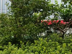 -城市传媒广场