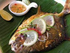越美烤金昌鱼-越美小馆·越南料理(曲江店)