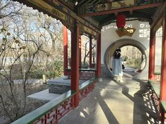 -迎泽公园
