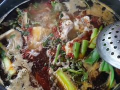 -老杨砂锅鱼庄
