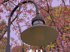 -静安雕塑公园