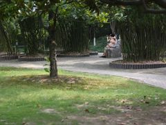 -瀛洲公园
