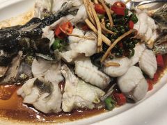 -悦来轩顺德菜(寮厦店)
